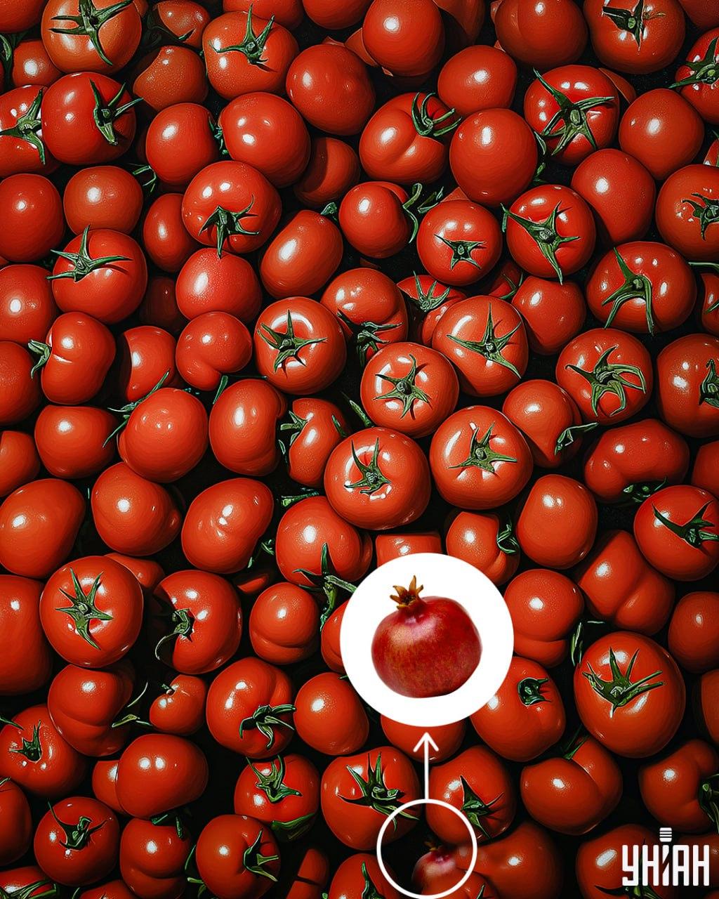 Rješenje zagonetke sa šipakom označenim