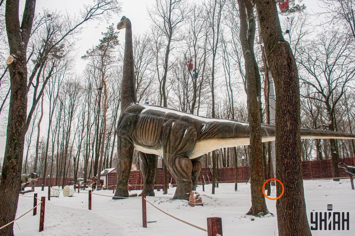 Pas je bio blizu donjeg lijevog kuta slike / kolaža Moje