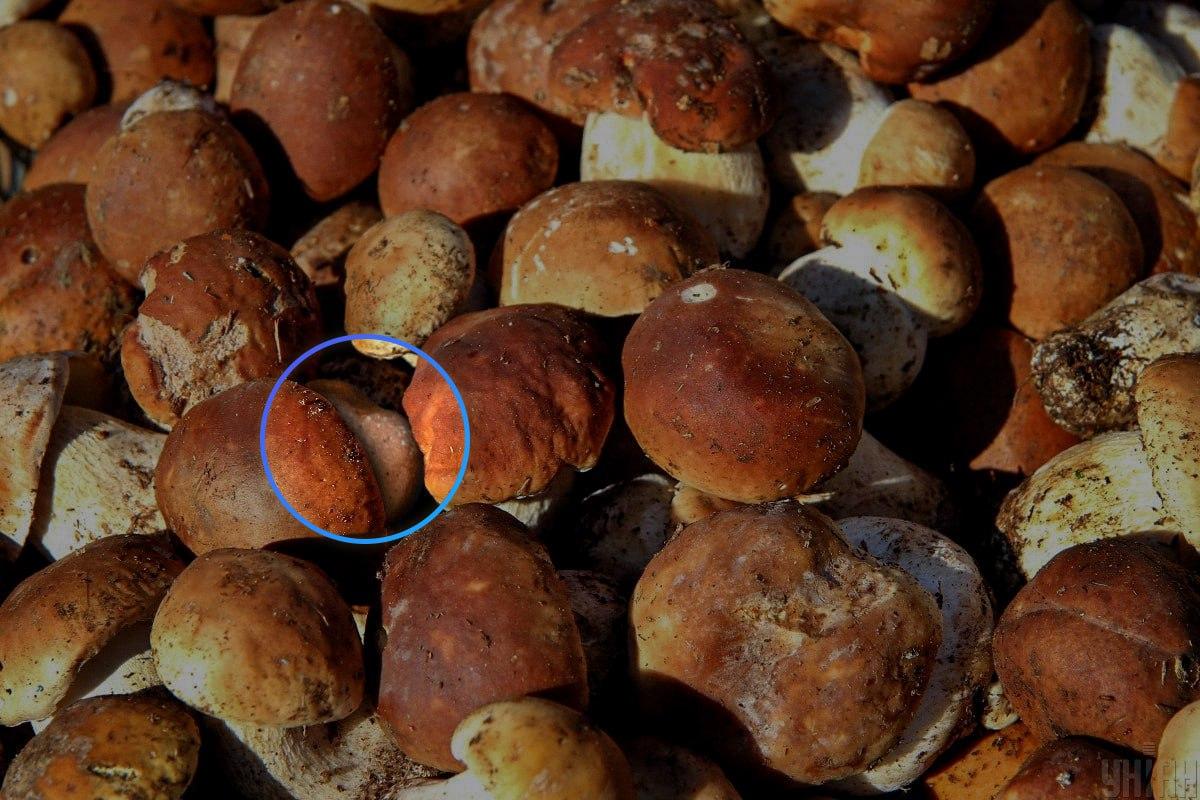 Kamen je bio gotovo u središtu optičke iluzije / Moje kolaž Kamen je bio gotovo u središtu optičke iluzije / Moje kolaž