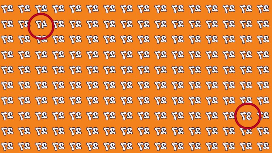 Težak IQ test: samo geniji mogu pronaći obrnute brojeve 47 i 37 u 13 sekundi Težak IQ test: samo geniji mogu pronaći obrnute brojeve 47 i 37 u 13 sekundi