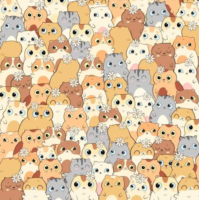 Imate samo 11 sekundi: samo će najpažljiviji pronaći krumpire među mačkama