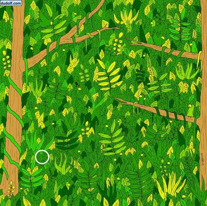 Točan odgovor na zagonetku Točan odgovor na zagonetku