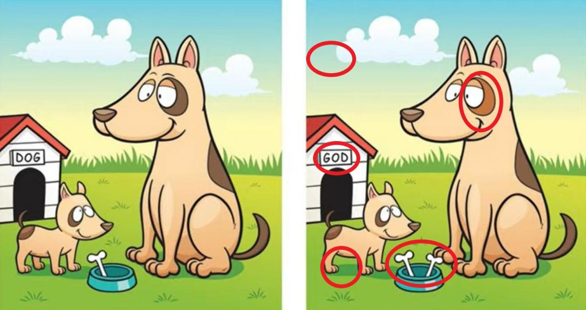 puzzle puzzle s rješenjem