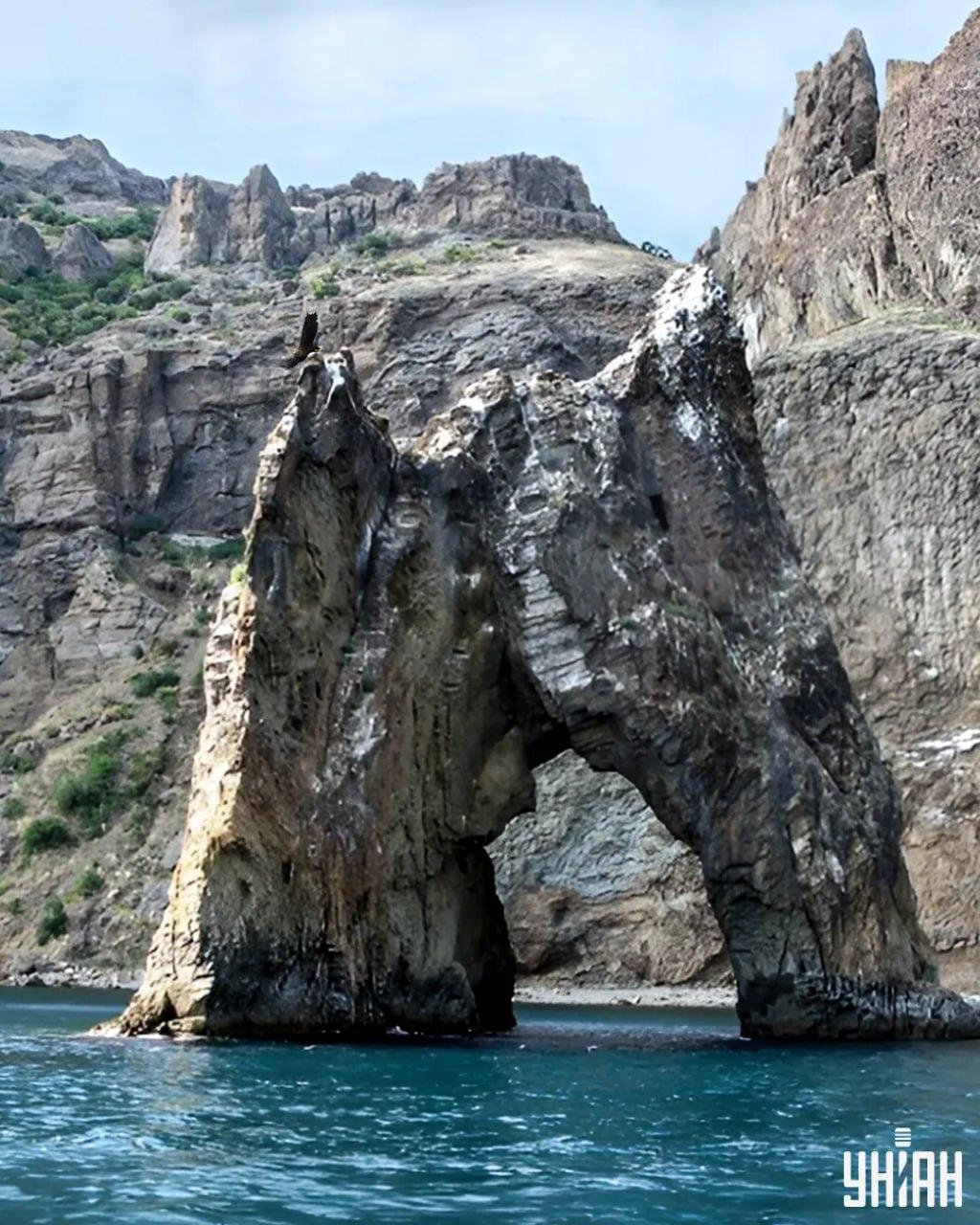 Morate pronaći orla na slici zagonetke za manje od 10 sekundi / kolaž s fotografijama Moje Morate pronaći orla na slici zagonetke za manje od 10 sekundi / kolaž s fotografijama Moje