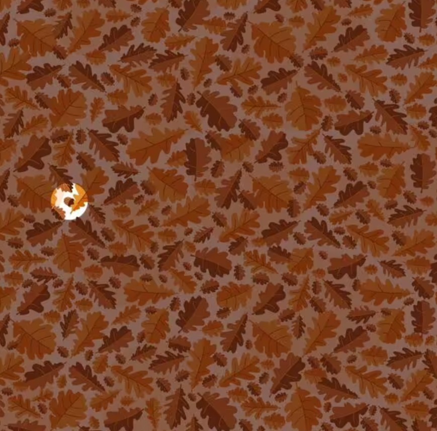 Rješavanje zagonetke Rješavanje zagonetke