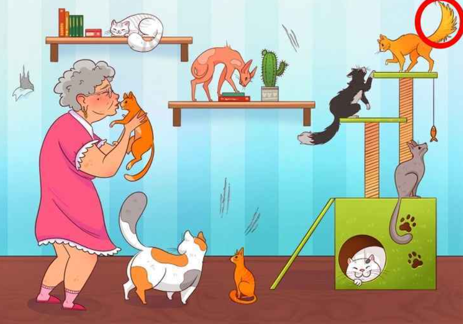 fotografija Brightside fotografija Brightside s rješenjem