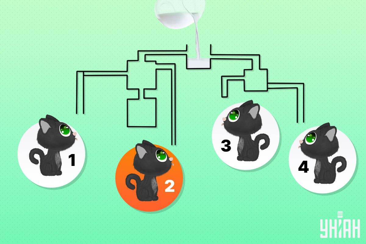 Sretna mačka bila je broj 2 / kolaž Moje Sretna mačka bila je broj 2 / kolaž Moje