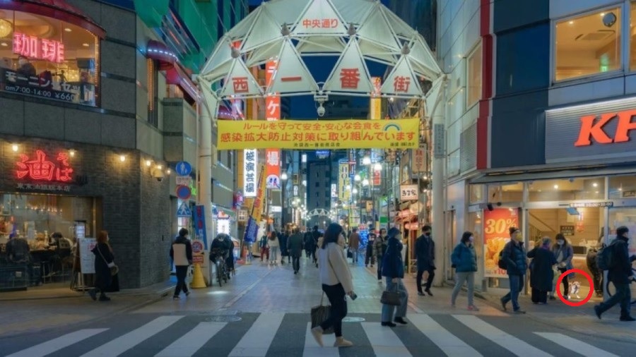 Optička varka Optička varka