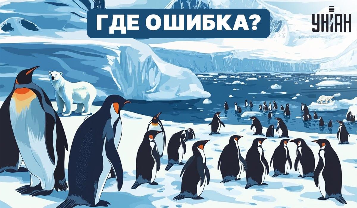 Možete li shvatiti što nije u redu na slici? / Moje