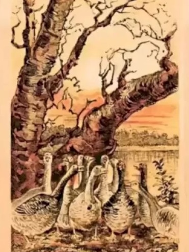 Optička iluzija - guske i drvo