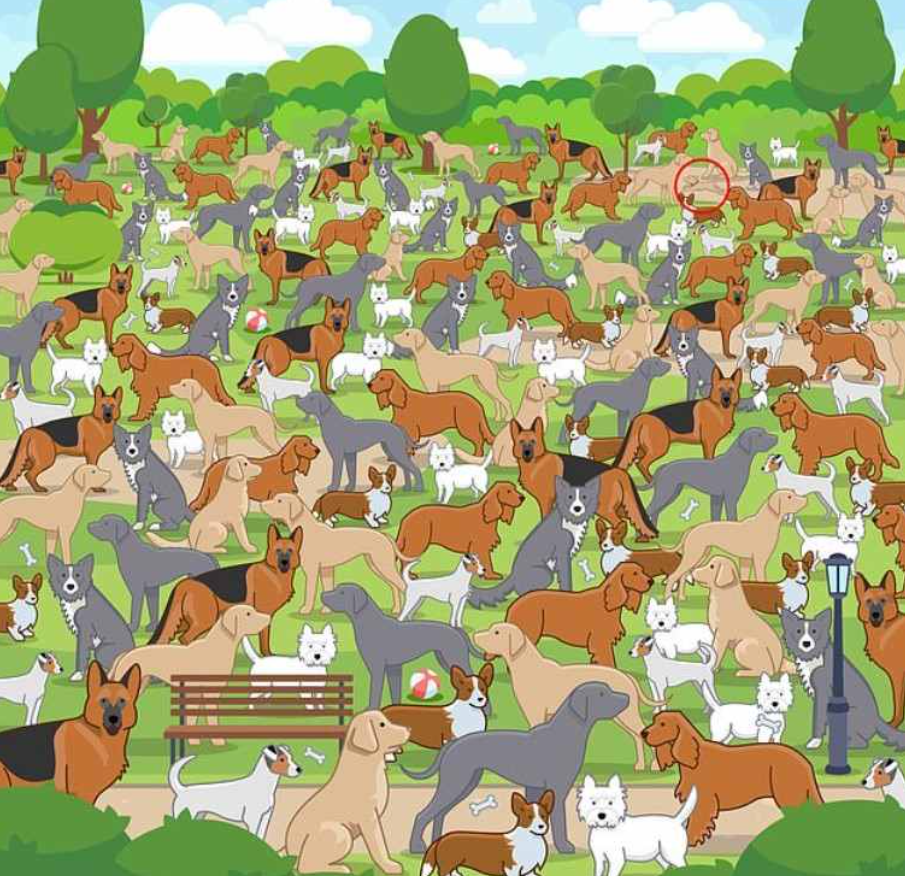 fotografija Jagranjosh