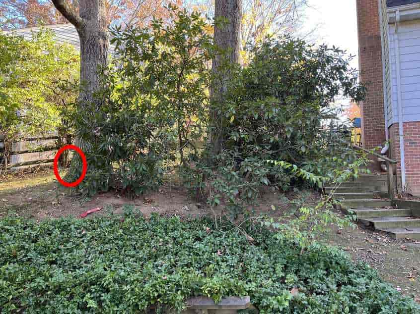 Super složena optička iluzija: samo pravi detektiv će pronaći psa u 10 sekundi Super složena optička iluzija: samo pravi detektiv će pronaći psa u 10 sekundi