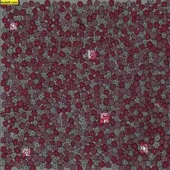 Točan odgovor na zagonetku Točan odgovor na zagonetku