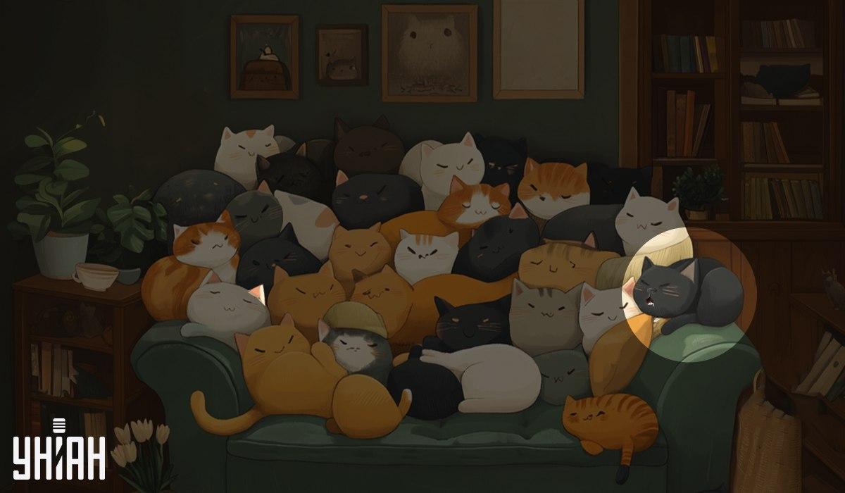 kolaž Moje kolaž Moje