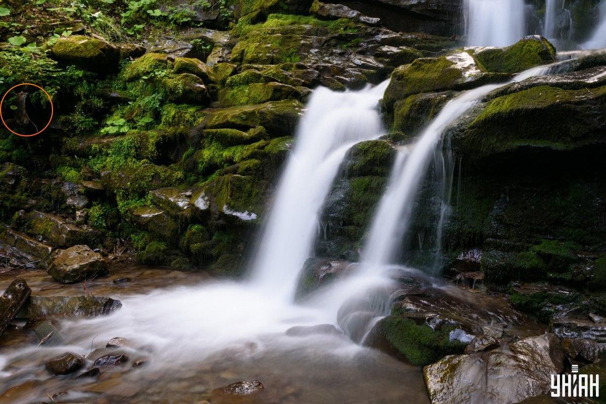Odgovor na zagonetku s lisicom - gdje se točno životinja skrivala / kolaž Moje, foto Moje Odgovor na zagonetku s lisicom - gdje se točno životinja skrivala / kolaž Moje, foto Moje