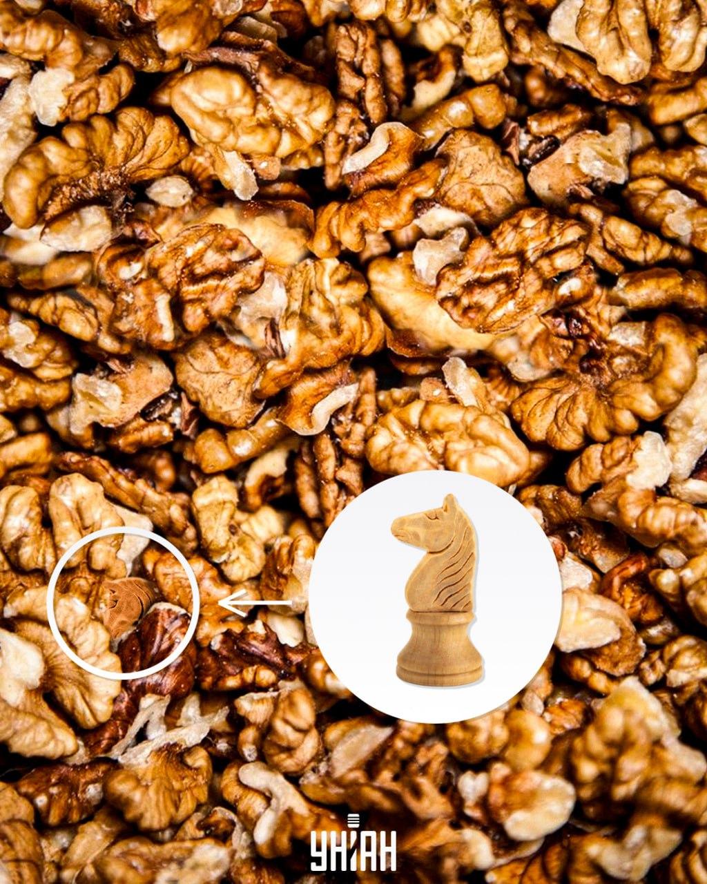 Odgovor / foto Moje Odgovor / foto Moje