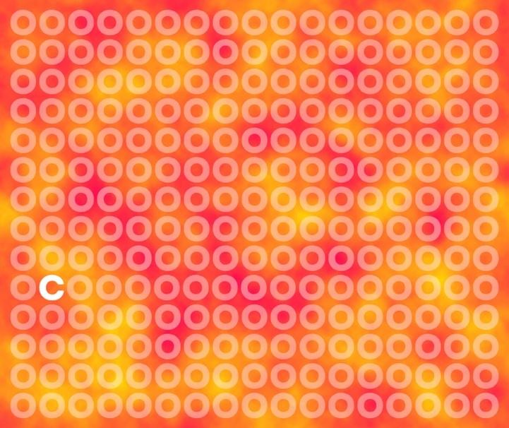 Optička varka za prave genije: pronađite slovo 'C' u 5 sekundi