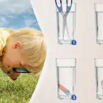 Koja čaša sadrži više vode: iznenađujuće teška logička zagonetka