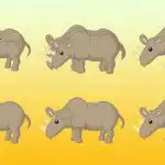 Koliko je nosoroga na slici: samo genij može točno izbrojati