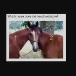 Nova zagonetka postala je viralna na internetu: samo ljudi s