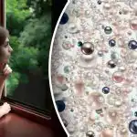 Optička varka za najpažljivije: samo će genijalci pronaći skriveni dijamant