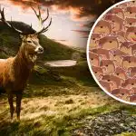 S tim se mogu nositi samo ljudi s visokim IQ-om: