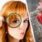 Samo će briljantni detektiv pronaći 5 razlika u 15 sekundi: