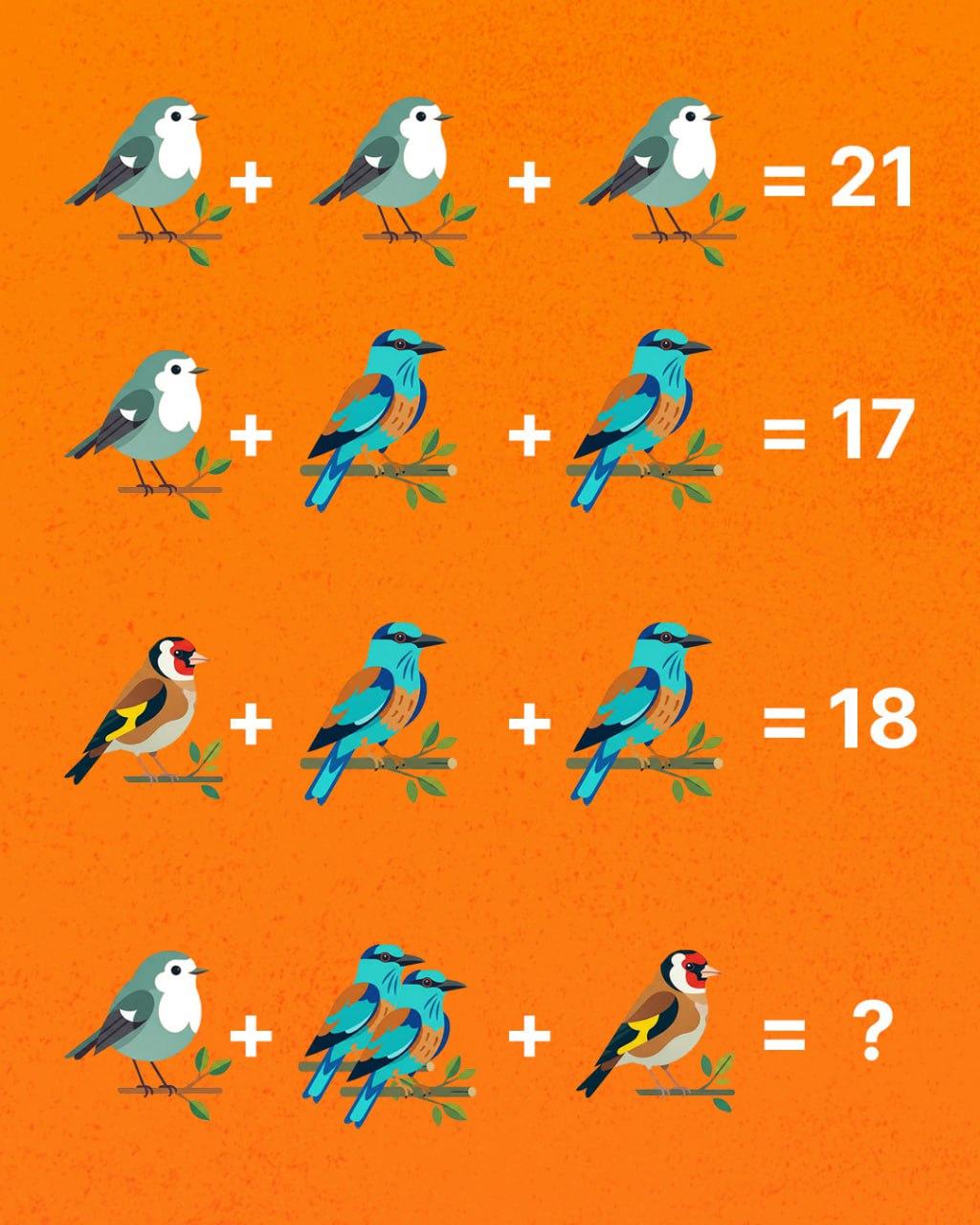 Samo genij može prebrojati sve ptice: iznenađujuće teška zagonetka Samo genij može prebrojati sve ptice: iznenađujuće teška zagonetka