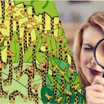 Samo ljudi s visokim IQ-om će na ovoj optičkoj iluziji pronaći zmiju među žirafama za 11 sekundi Samo ljudi s visokim IQ-om će na ovoj optičkoj iluziji