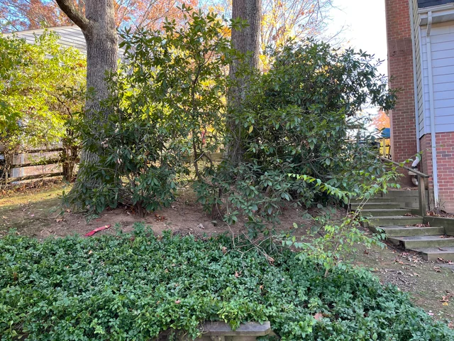 Super složena optička iluzija: samo pravi detektiv će pronaći psa u 10 sekundi Super složena optička iluzija: samo pravi detektiv će pronaći psa u 10 sekundi