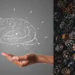 Svi vide izbočine, ali ježa morate pronaći za 7 sekundi: