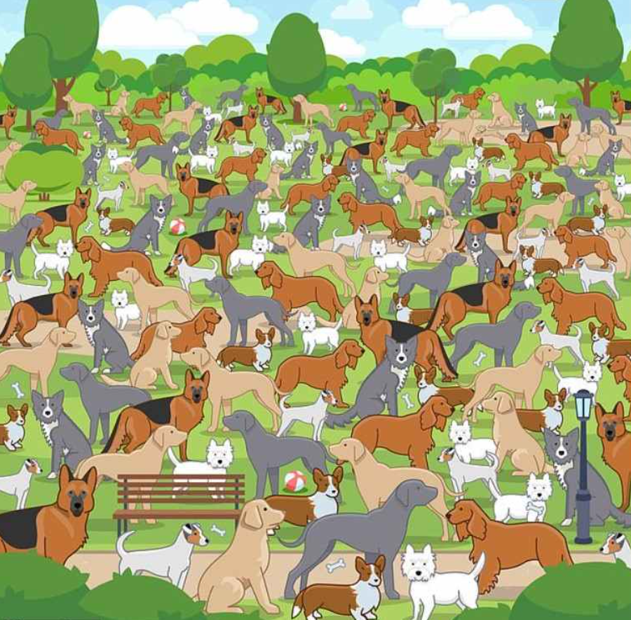 fotografija Jagranjosh