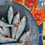 Trebate pronaći ribu među mačkama: zabavna zagonetka za ljude s orlovskim vidom Trebate pronaći ribu među mačkama: zabavna zagonetka za ljude s