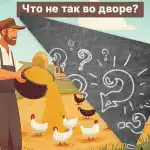 Trebate pronaći veliku bubu u seoskom dvorištu u 5 sekundi: