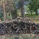 Zagonetka za one najveselije i najsnalažljivije: morate pronaći mačku za