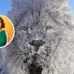 “Zatvorena” ili “društvena” osoba: što optička iluzija može reći o