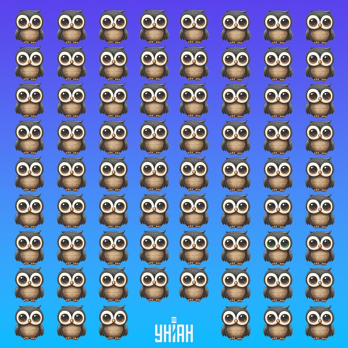 Pronađite rijetku pticu na vrijeme / Moje kolaž