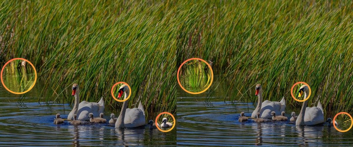 Da biste riješili zagonetku morali ste paziti na sitnice / Moje kolaž