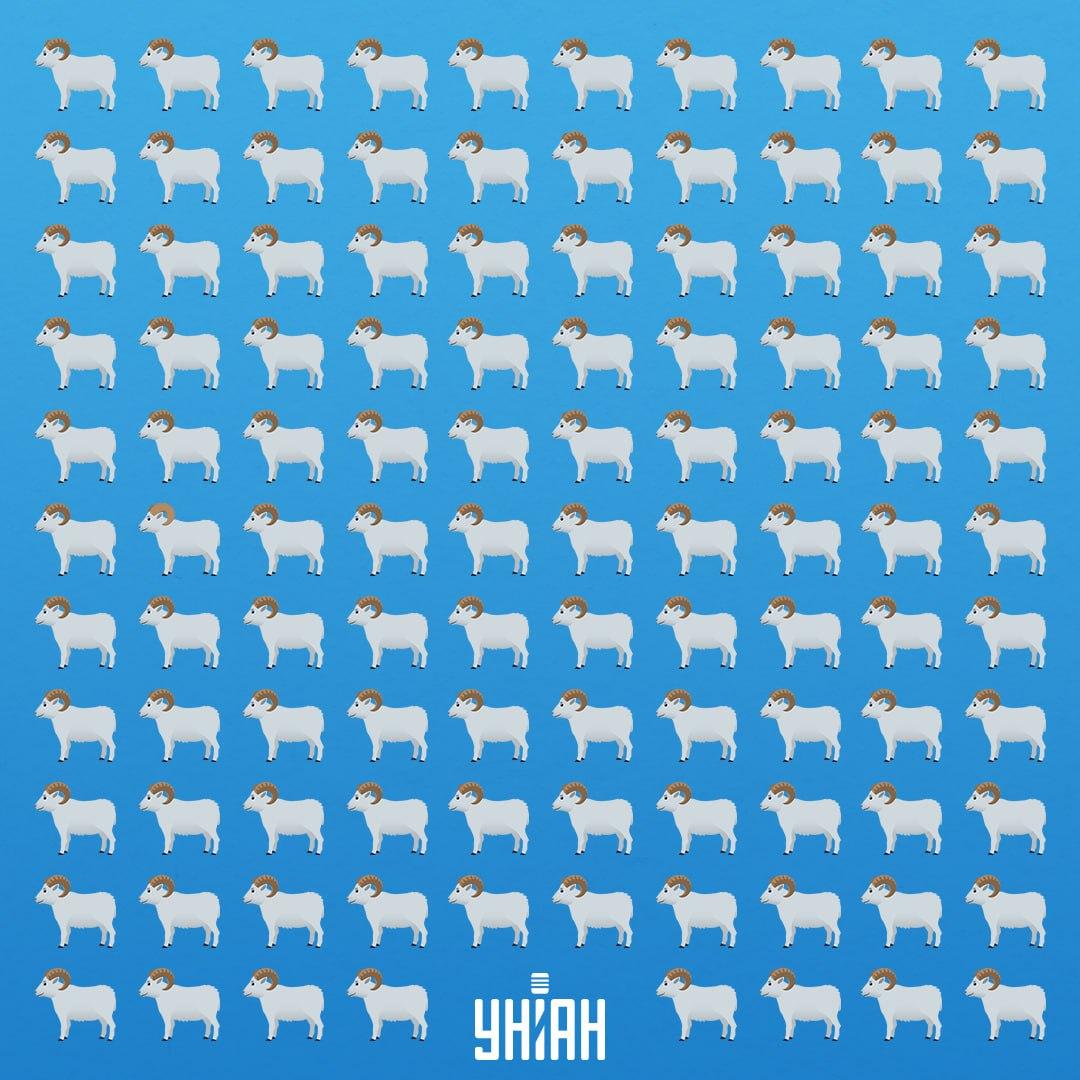 Imate 7 sekundi da vidite lukavu životinju / Kolaž Moje