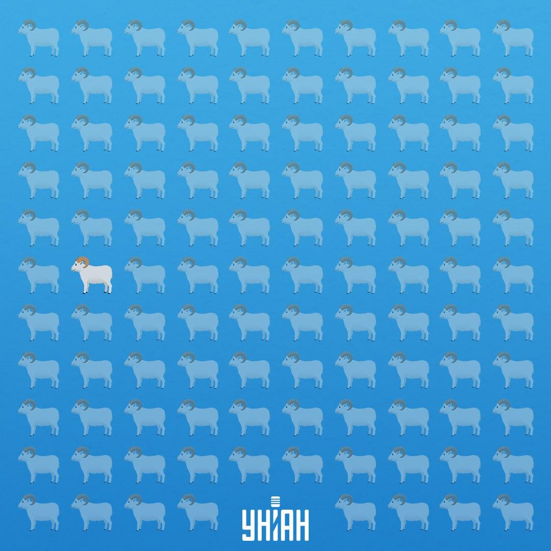 Bio je u sedmoj liniji s lijeve strane / Kolaž Moje