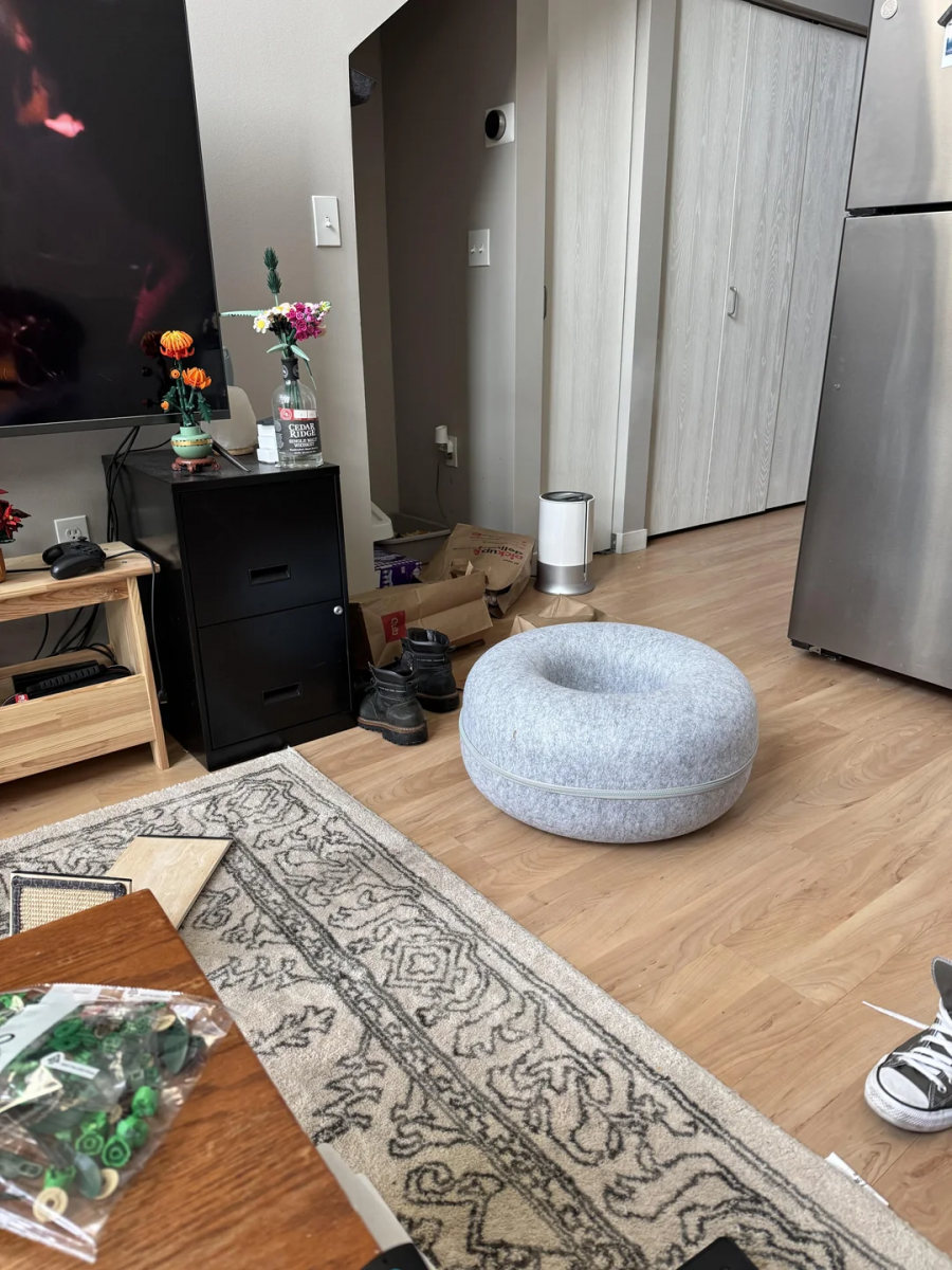 Vidite li crvenu mačku na fotografiji? 