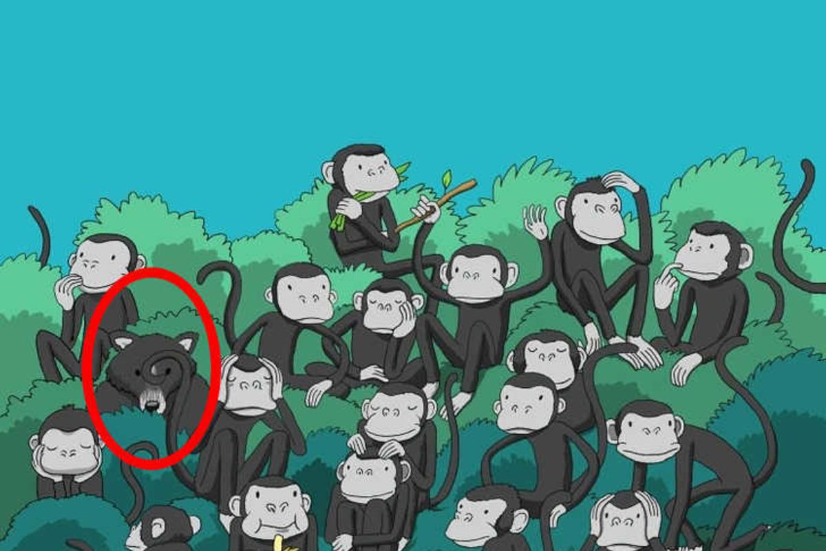 Pokušajte riješiti zagonetku u nekoliko sekundi / Bright Side crtež