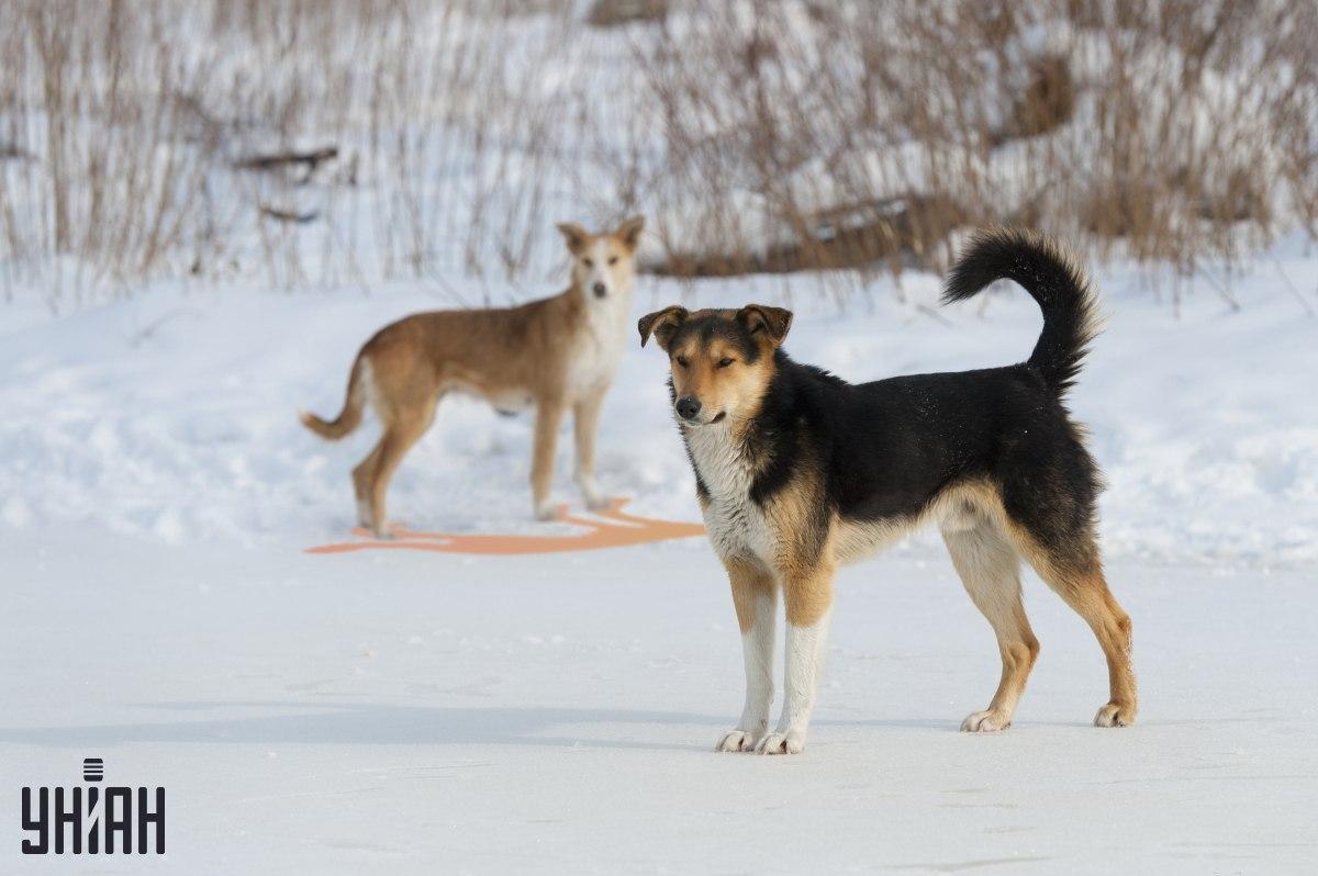 Slika netočno prikazuje jednu od sjena / kolaž s fotografijom Moje