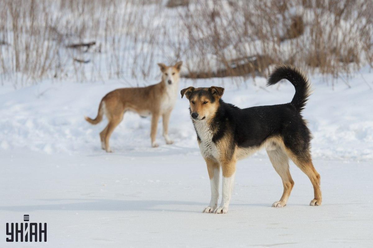Pokušajte shvatiti u 8 sekundi što nije u redu u puzzle fotografiji / kolažu s fotografijama Moje