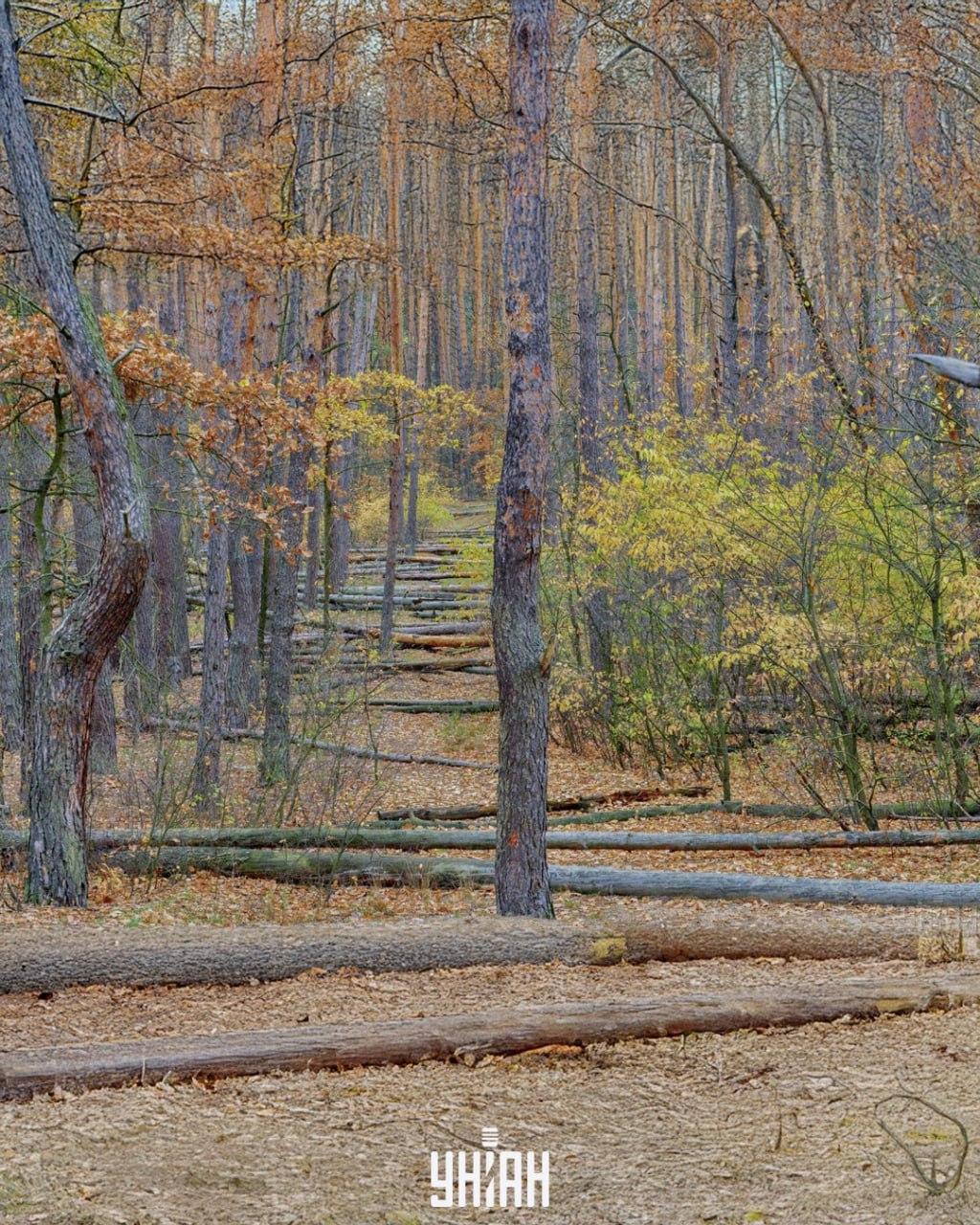 foto Moje, Falin Vladimir