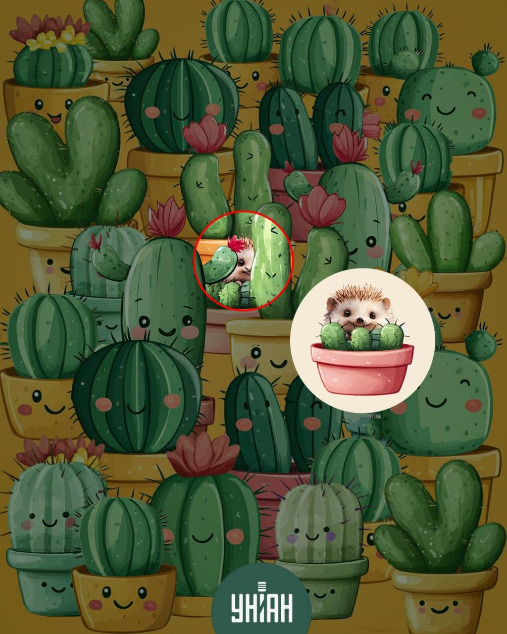 kolaž Moje s rješenjem