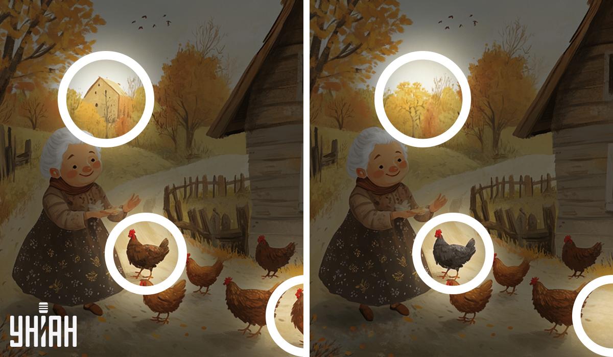 kolaž Moje kolaž Moje