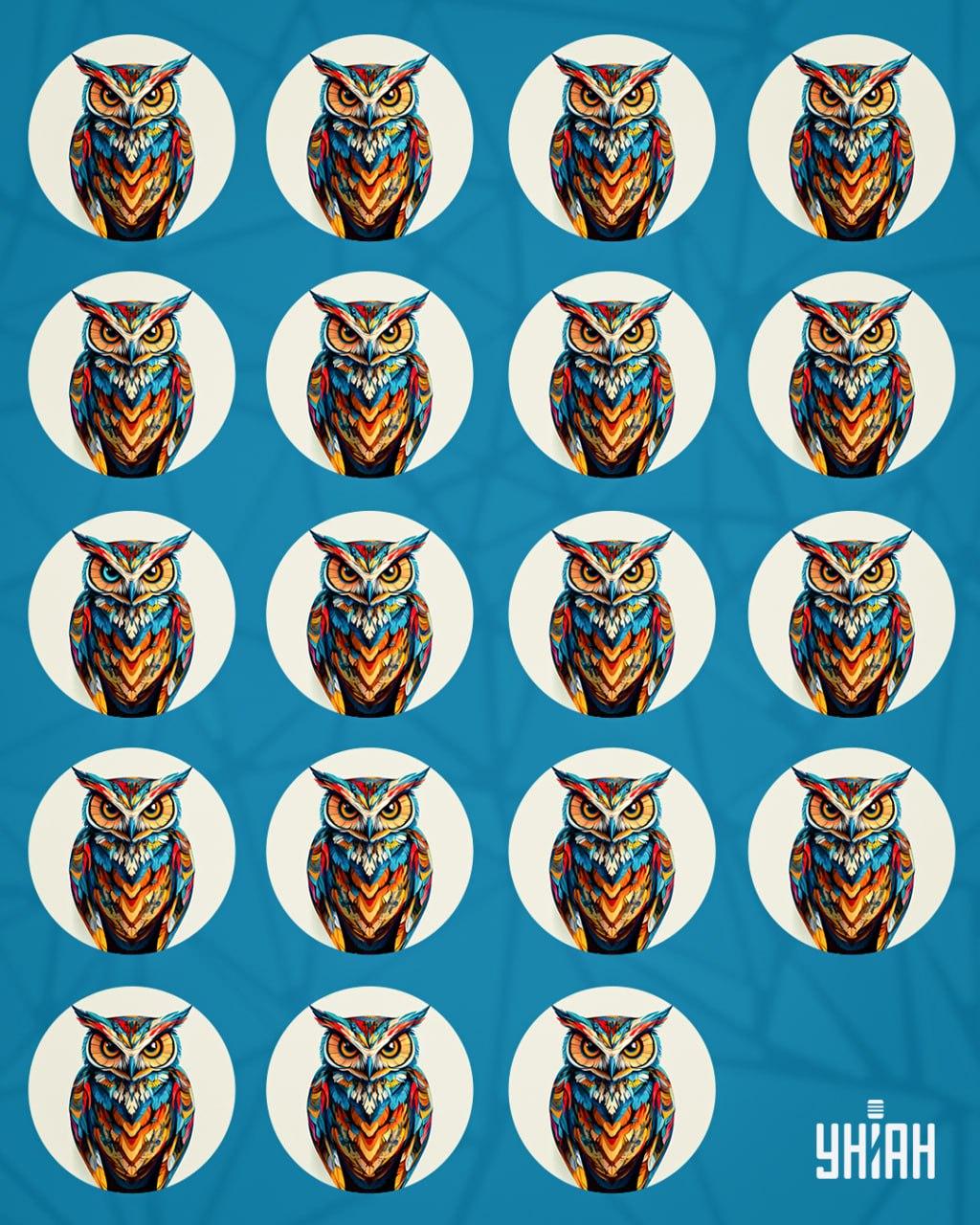 Iluzija sa sovama - zadatak