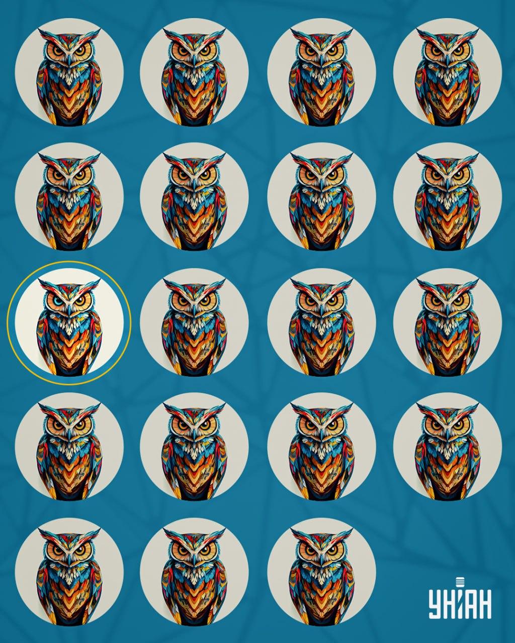 Iluzija sa sovama - rješenje