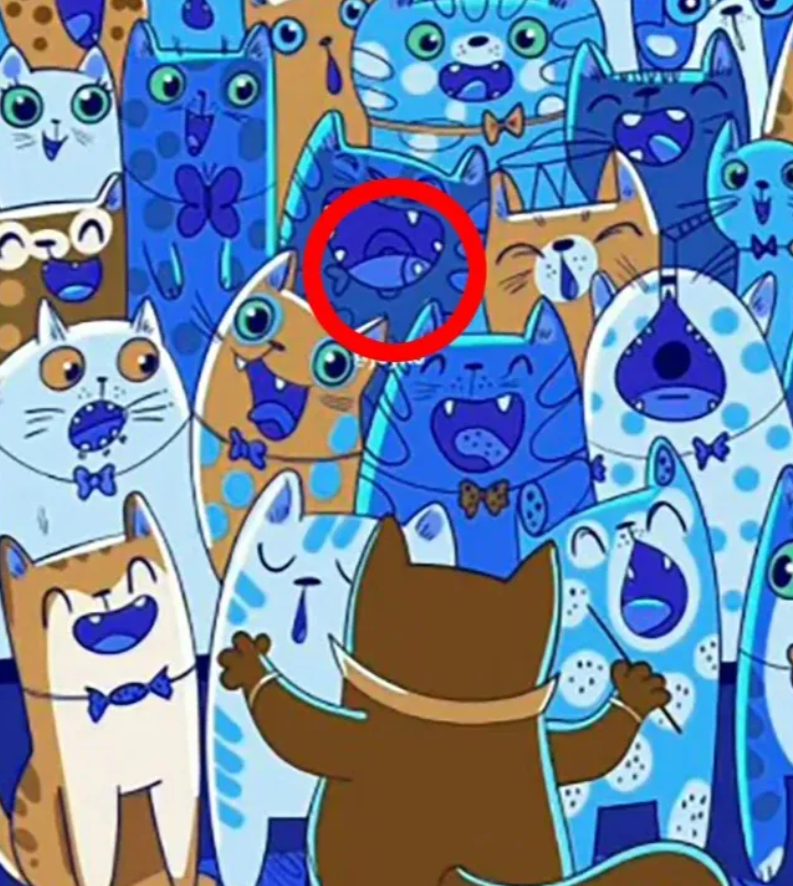 fotografija joyko s rješenjem